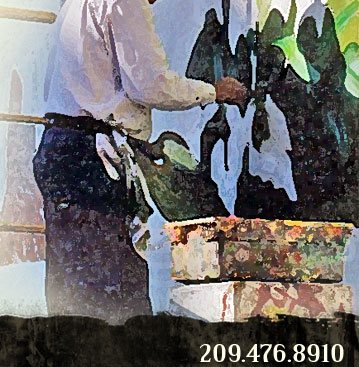 Carlos painting a mural